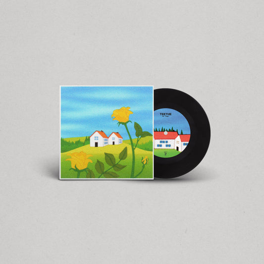 Teethe: Tag / Lucky 7" Vinyl