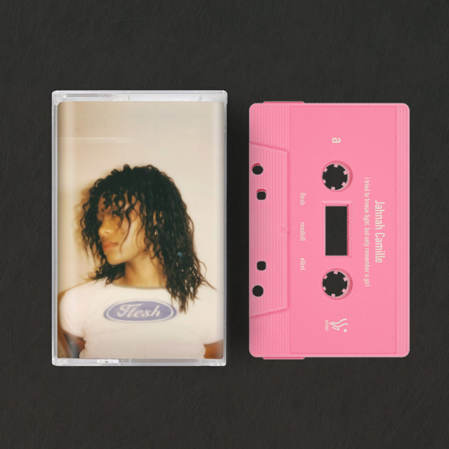 Jahnah Camille - i tried to freeze light, but only remember a girl