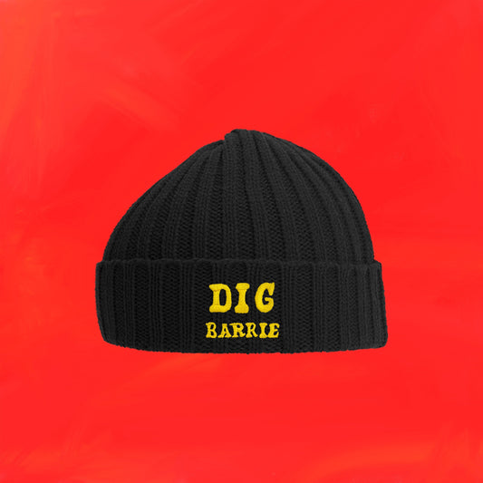 Barrie "Dig" Beanie